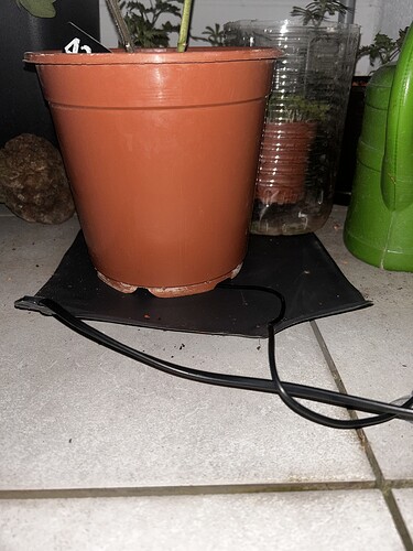 Growreport Bild 50