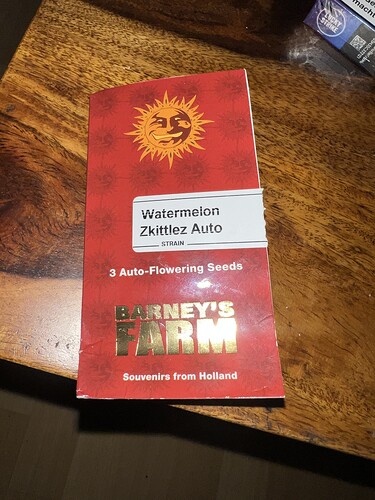 Growreport Bild 2
