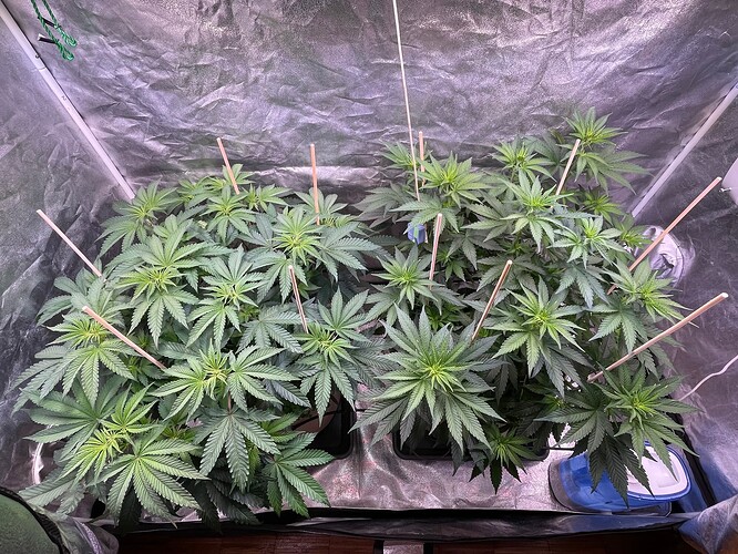 Growreport Bild 8