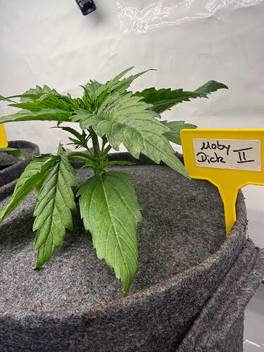 Growreport Bild 4