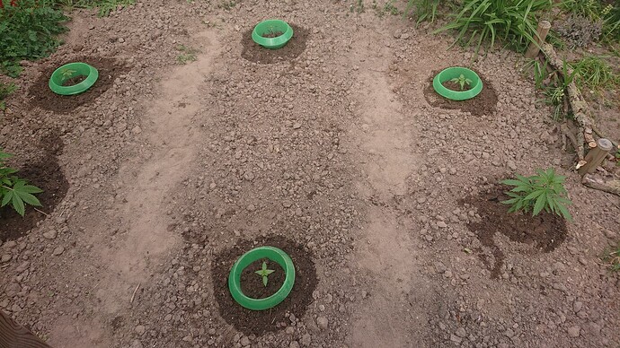 Growreport Bild 3