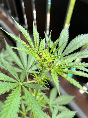 Growreport Bild 12