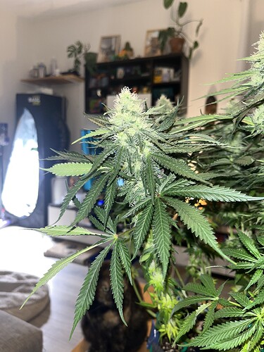 Growreport Bild 10