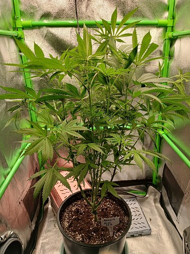 Growreport Bild 19