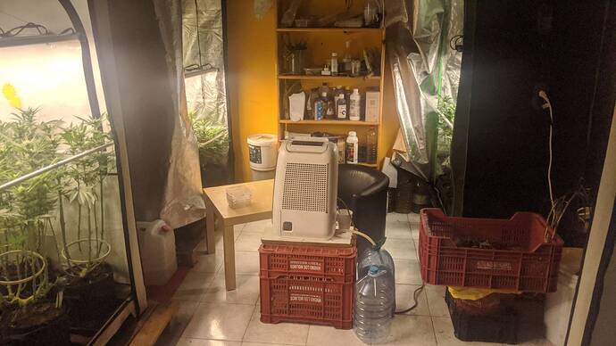 Growreport Bild 9