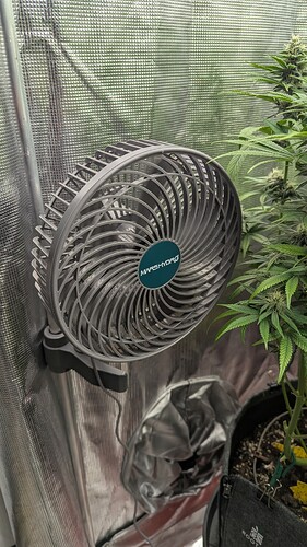 Growreport Bild 1