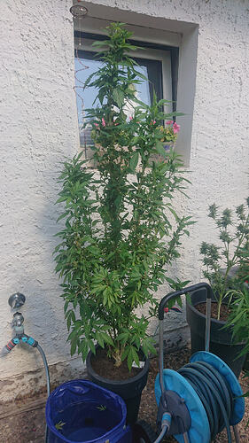 DSC5090