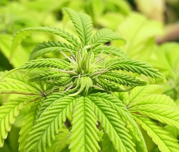 Growreport Bild 16