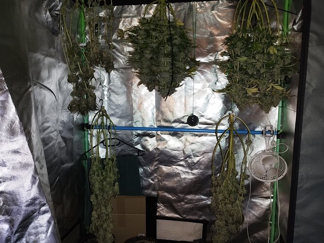 Growreport Bild 7
