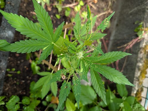 Growreport Bild 19
