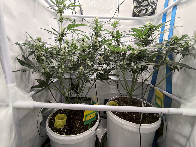 Growreport Bild 5