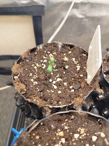 Growreport Bild 6