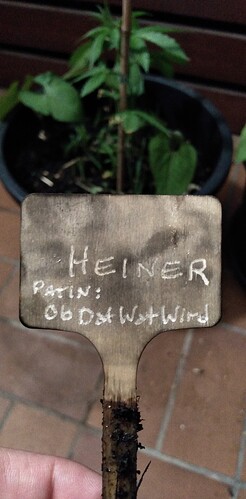 Growreport Bild 10