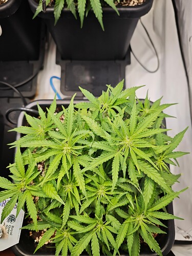 MVIMG_20251015_213338