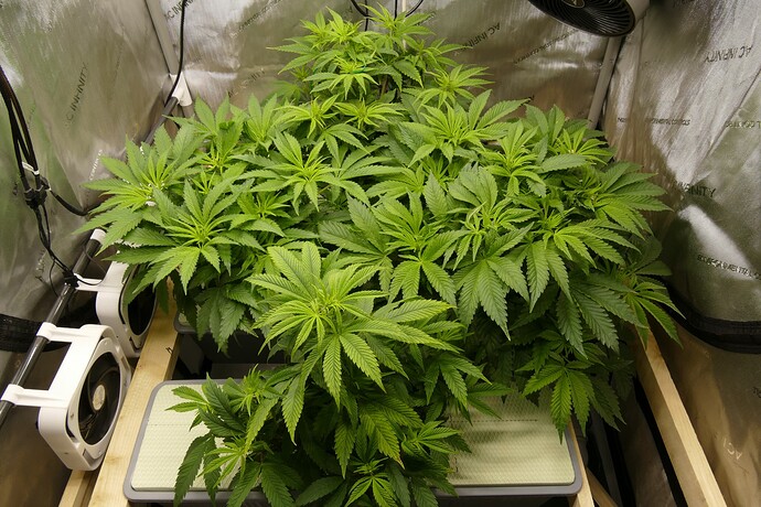 Übersicht_oben_VT40_1