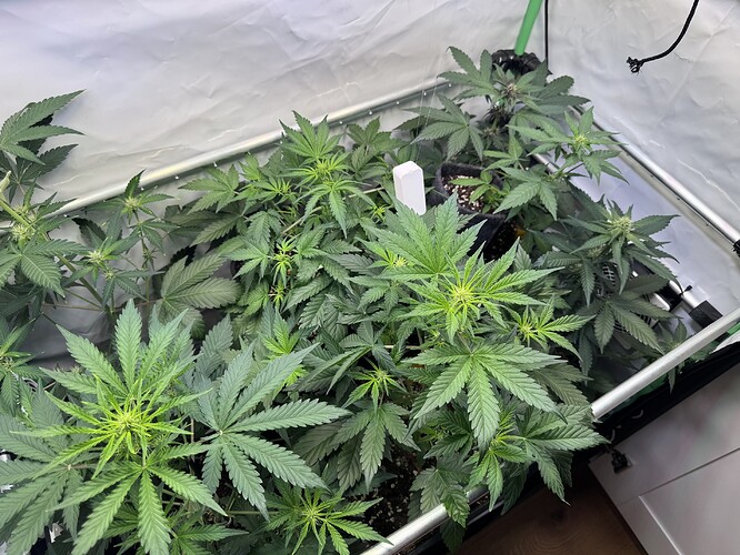 Growreport Bild 28