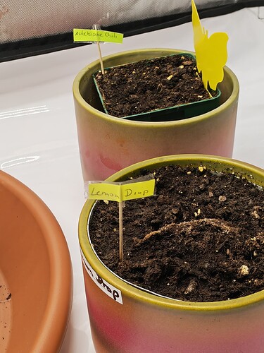 Growreport Bild 9
