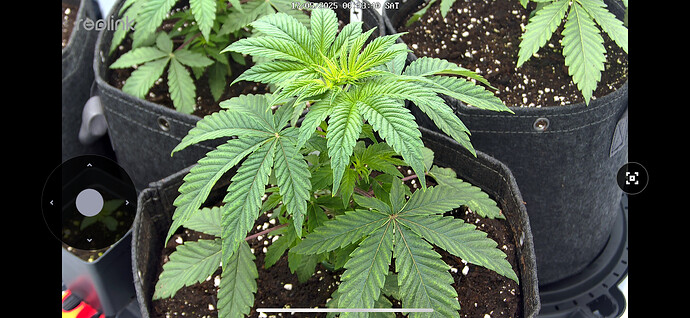 Growreport Bild 12