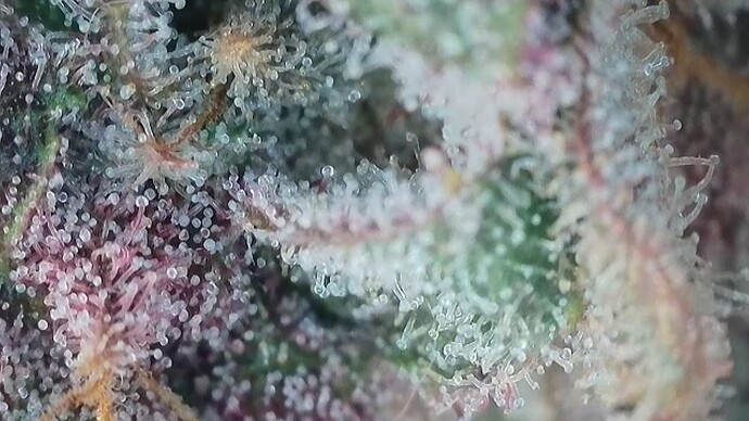 Growreport Bild 19