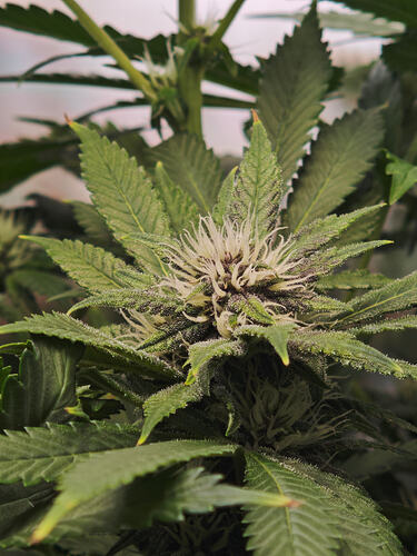 Growreport Bild 10