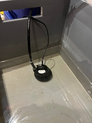 Growreport Bild 31
