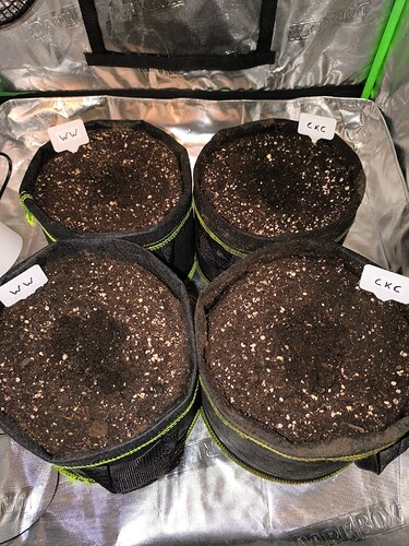 Growreport Bild 35