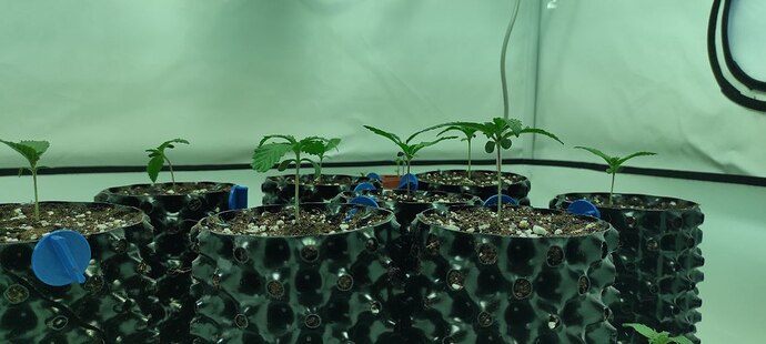 photo_5445148517438969839_y