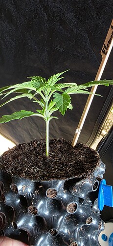Growreport Bild 10