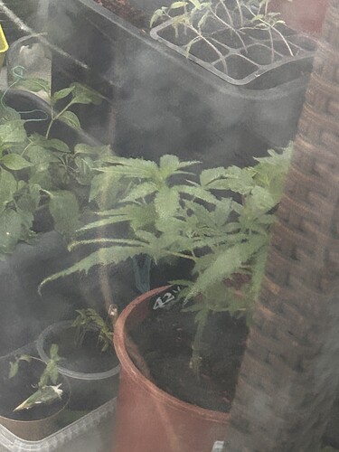 Growreport Bild 28