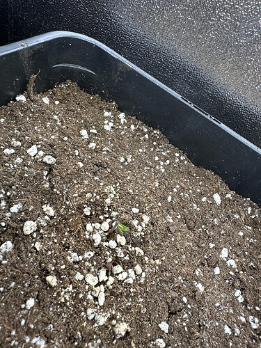 Growreport Bild 8