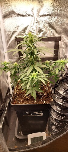 Growreport Bild 7