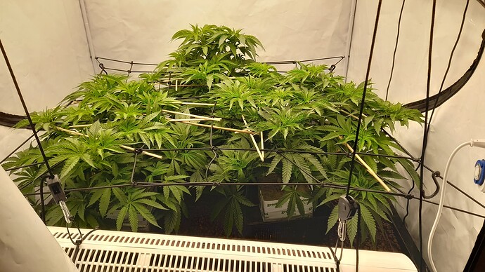 Growreport Bild 8