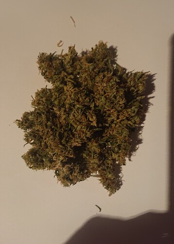 Mandarine