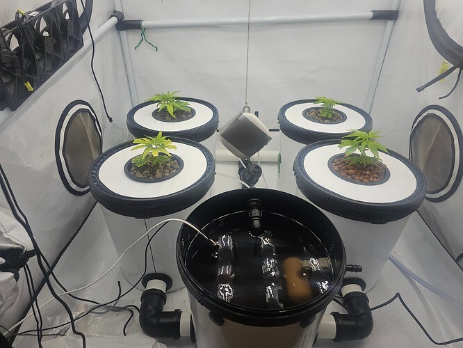 Growreport Bild 51