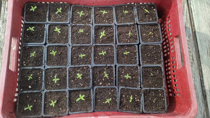 signal-2024-08-19-111948_002