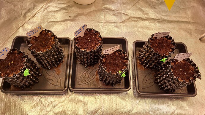 Growreport Bild 4