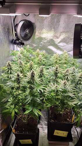 Growreport Bild 22