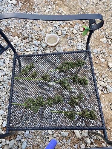 Growreport Bild 4