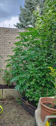 Growreport Bild 17