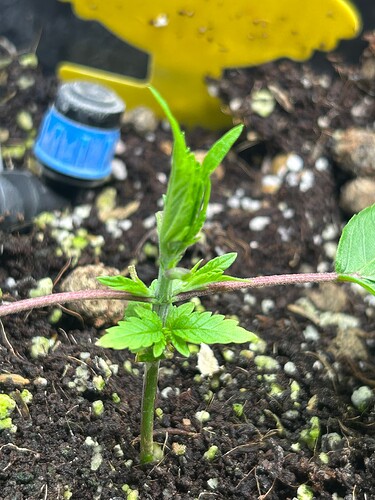 Growreport Bild 13