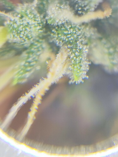 Growreport Bild 7