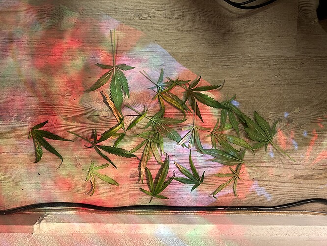 Growreport Bild 4