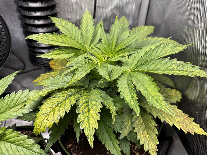 Growreport Bild 2