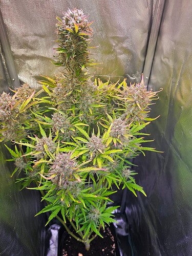 Growreport Bild 22