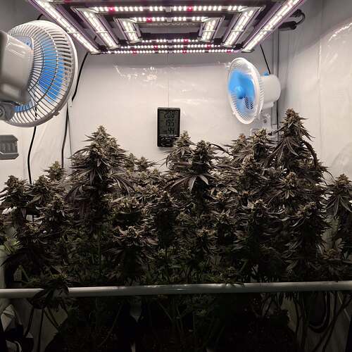 480962228_122170052198293599_365627384219246273_n