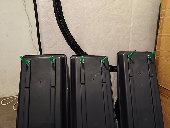 Growreport Bild 5