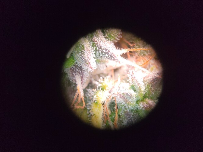 Growreport Bild 10