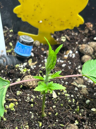 Growreport Bild 14