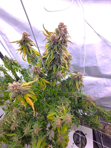 Growreport Bild 11