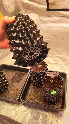 Growreport Bild 6